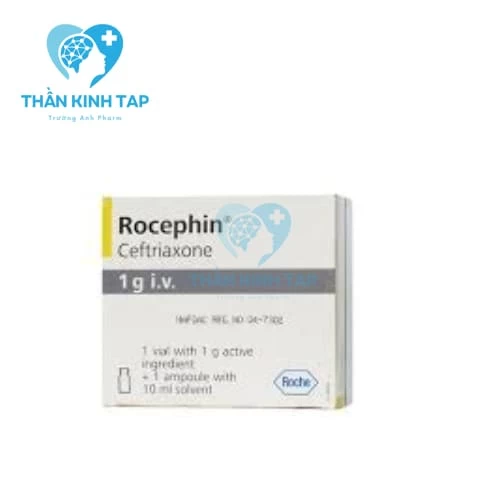 Rocephin 1g I.V - Thuốc phòng và điều trị nhiễm trùng